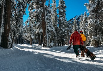 people walking in snow